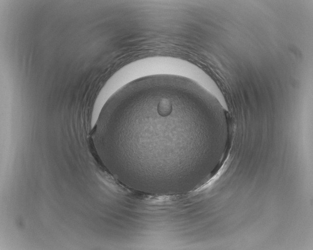 X0000115560186200911201830