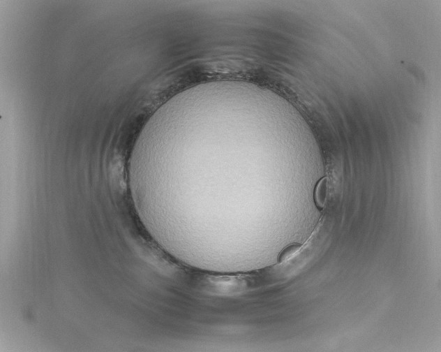 X0000115560187200911201830