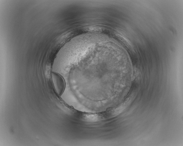 X0000115560189200911201830