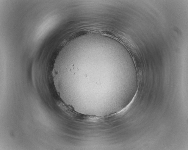 X0000115560190200911201830