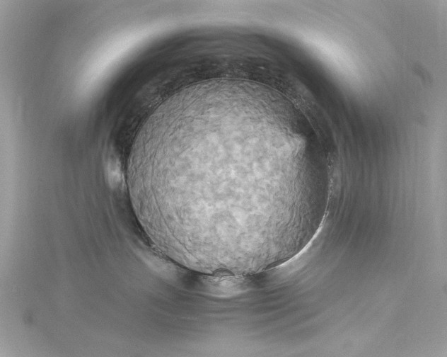 X0000115560191200911201830