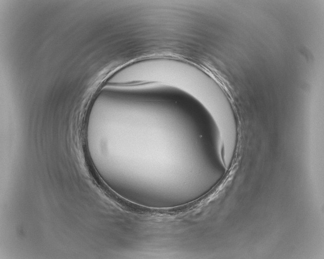 X0000115560193200911201829