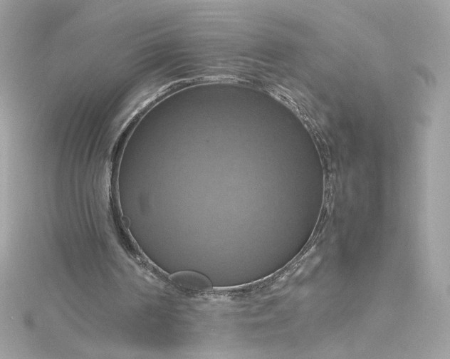 X0000115560194200911201829