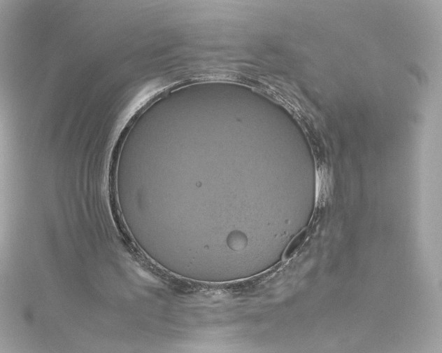 X0000115560195200911201829