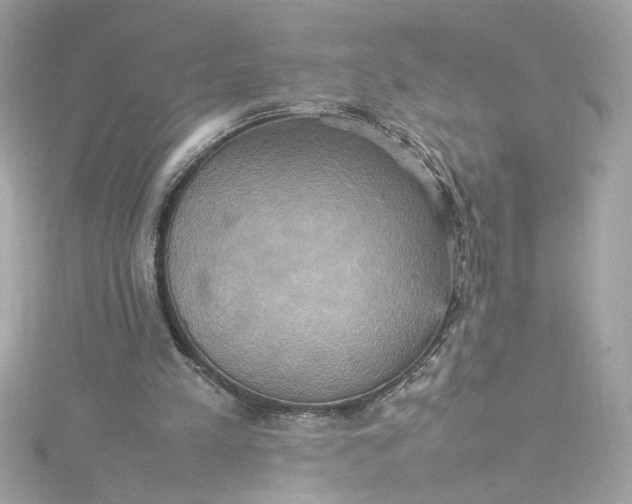 X0000115560197200911201829