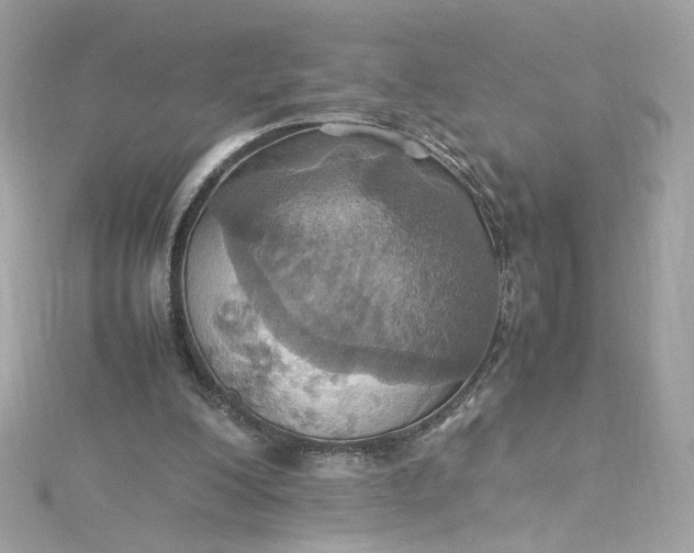 X0000115560200200911201829