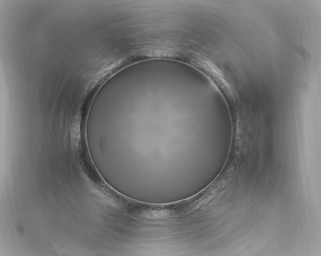 X0000115560202200911201829