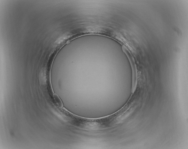 X0000115560203200911201829