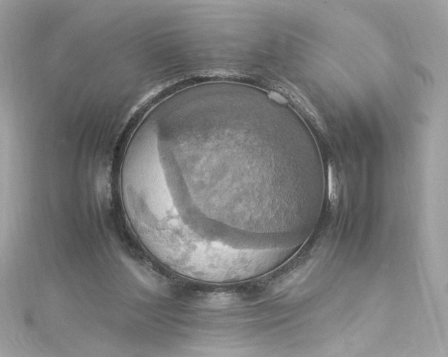 X0000115560204200911201829