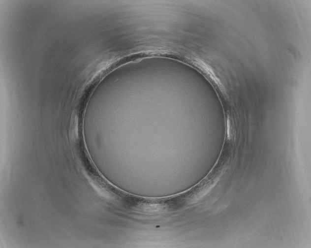 X0000115560205200911201829