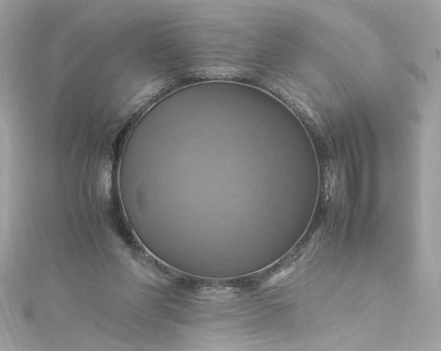 X0000115560206200911201829