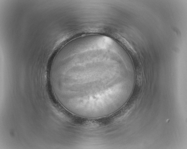 X0000115560207200911201829