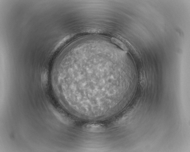 X0000115560208200911201829