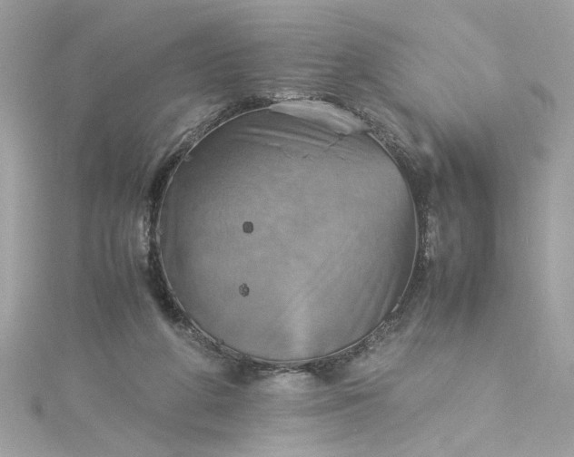 X0000115560210200911201829