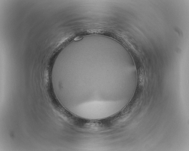 X0000115560211200911201829