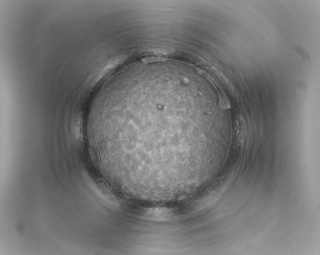 X0000115560212200911201829