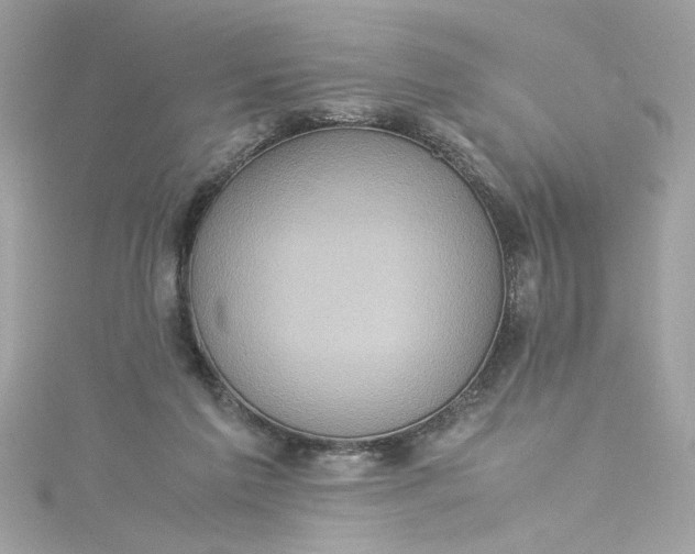 X0000115560213200911201829