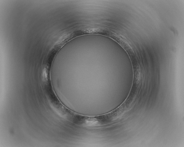 X0000115560214200911201829