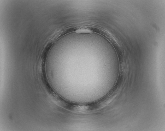 X0000115560217200911201829