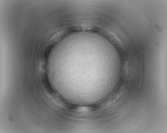 X0000115560218200911201829