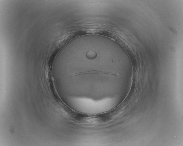 X0000115560219200911201829