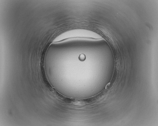 X0000115560221200911201829