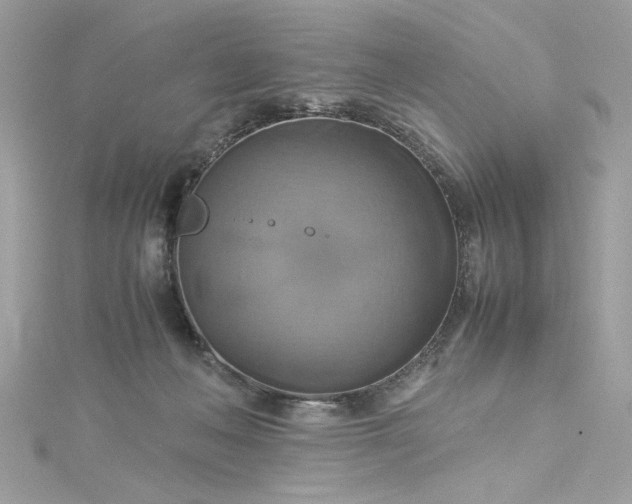 X0000115560222200911201829