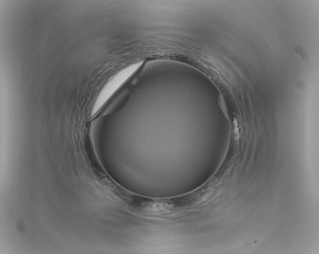 X0000115560223200911201829