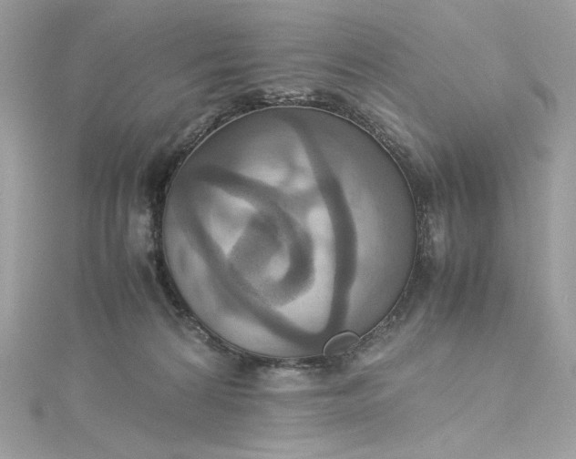 X0000115560224200911201829