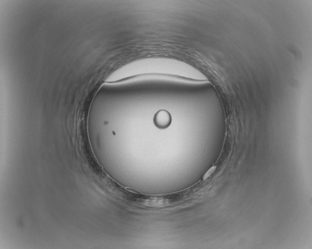 X0000115560225200911201829