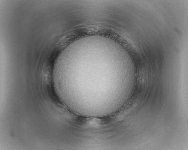 X0000115560226200911201829