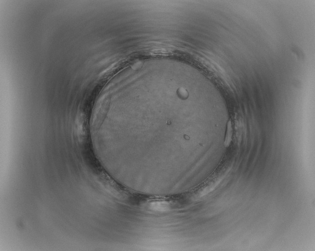 X0000115560228200911201829