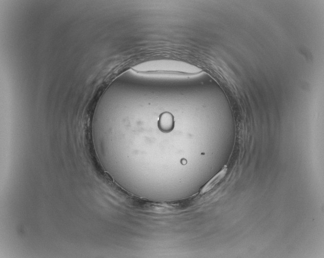 X0000115560229200911201829