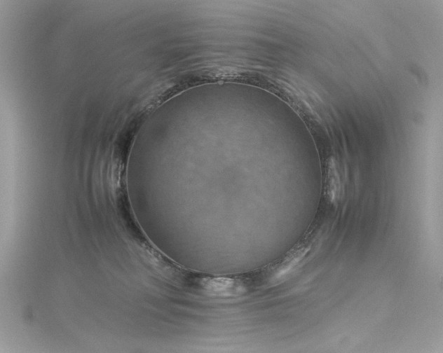 X0000115560230200911201829