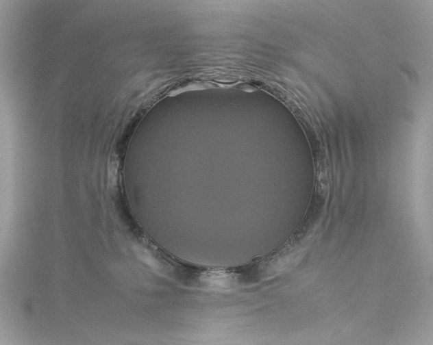 X0000115560231200911201829