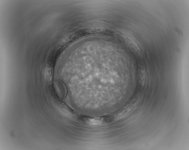 X0000115560232200911201829