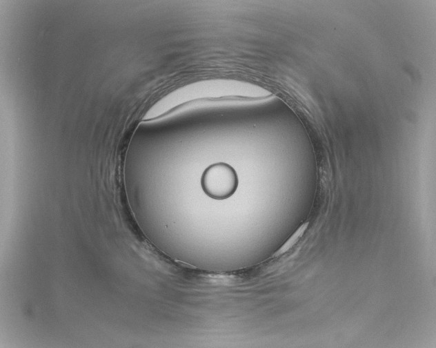 X0000115560233200911201829