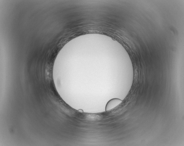 X0000115560234200911201829