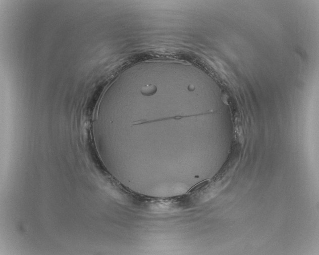 X0000115560235200911201829