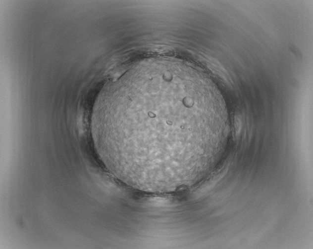 X0000115560236200911201829