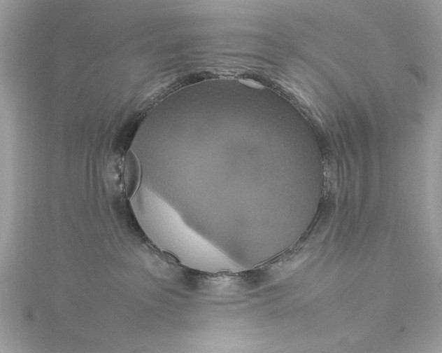 X0000115560237200911201829