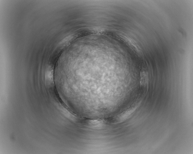 X0000115560238200911201829