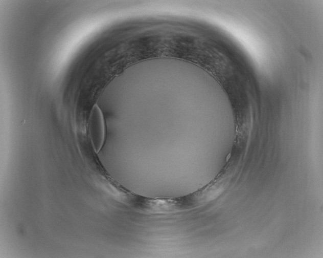 X0000115560239200911201829