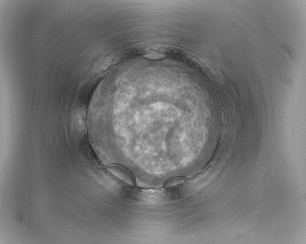 X0000115560240200911201829