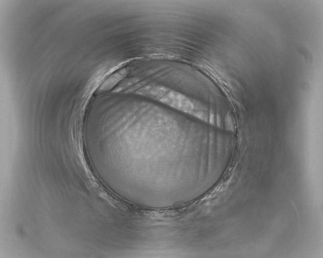 X0000115560241200911201828