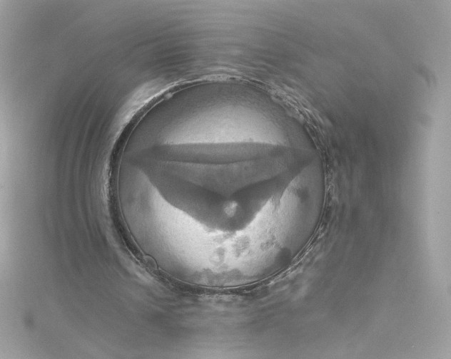 X0000115560242200911201828