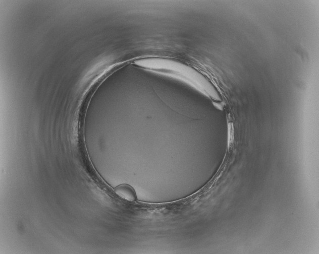 X0000115560243200911201828