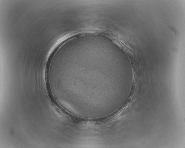 X0000115560244200911201828