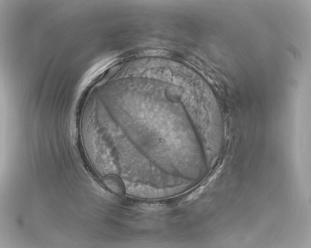 X0000115560245200911201828