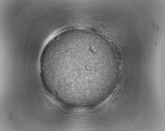 X0000115560246200911201828